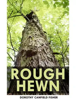 rough-hewn book cover image