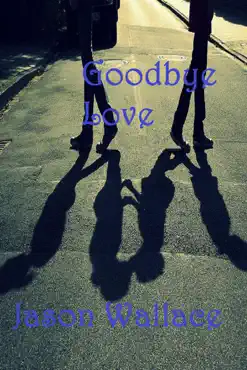 goodbye love book cover image