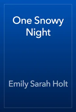 one snowy night book cover image