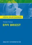 Effi Briest von Theodor Fontane. sinopsis y comentarios