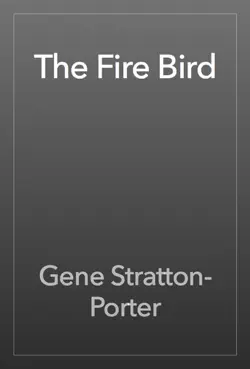 the fire bird book cover image