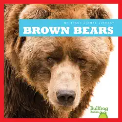 brown bears book cover image