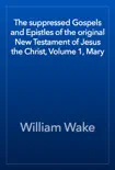 The suppressed Gospels and Epistles of the original New Testament of Jesus the Christ, Volume 1, Mary synopsis, comments