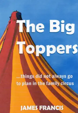 the big toppers book cover image