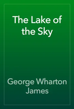the lake of the sky book cover image