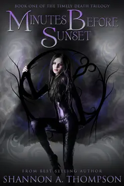 minutes before sunset book cover image