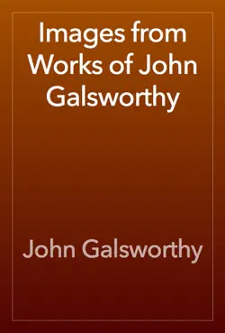images from works of john galsworthy book cover image