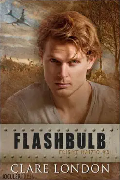 flashbulb book cover image