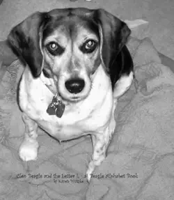 cleo beagle and the letter l book cover image