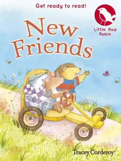 new friends book cover image