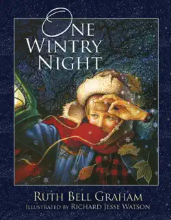 one wintry night book cover image