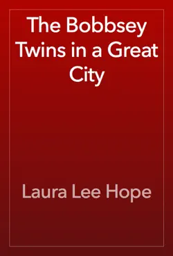 the bobbsey twins in a great city book cover image
