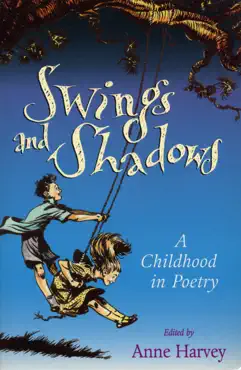 swings and shadows book cover image