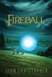 Fireball synopsis, comments