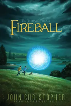 fireball book cover image