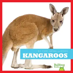 kangaroos book cover image