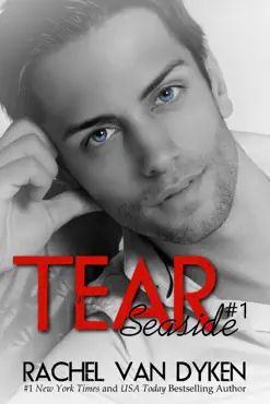tear: a seaside novel book cover image