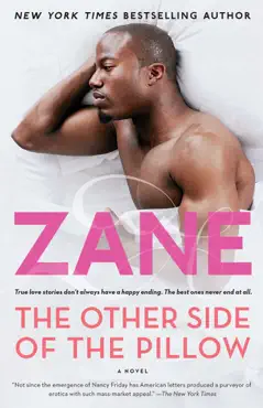 the other side of the pillow book cover image