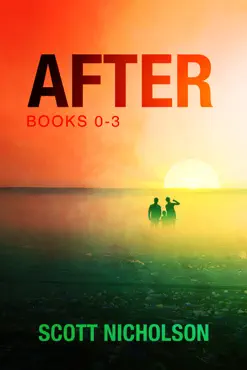 the after series box set (books 0-3) book cover image