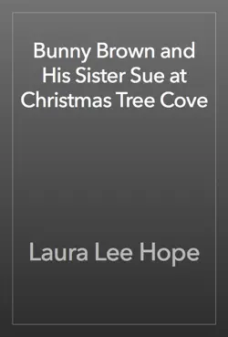 bunny brown and his sister sue at christmas tree cove book cover image