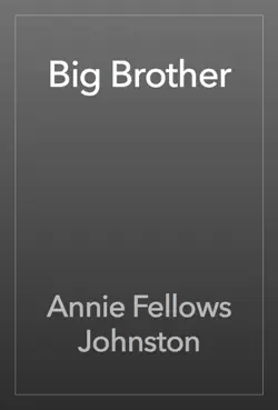 big brother book cover image