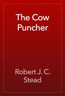 the cow puncher book cover image