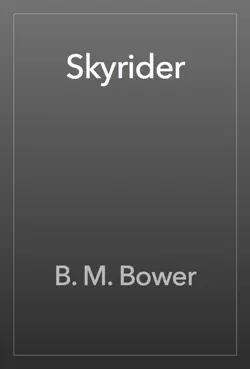 skyrider book cover image