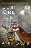 Just One Lie synopsis, comments