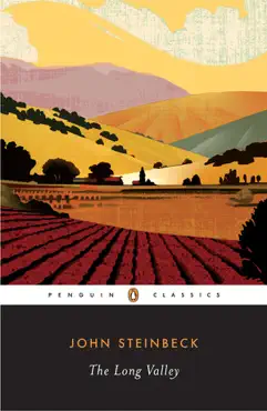 the long valley book cover image