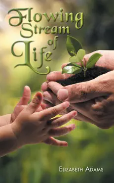 flowing stream of life book cover image