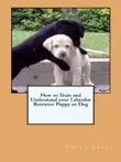 How to Train and Understand your Labrador Retriever Puppy or Dog synopsis, comments