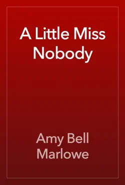 a little miss nobody book cover image