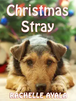 christmas stray book cover image
