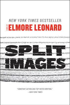 split images book cover image