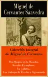 Colección integral de Miguel de Cervantes sinopsis y comentarios