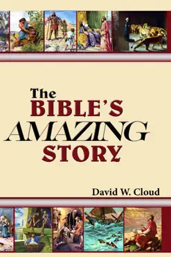 the bible's amazing story book cover image