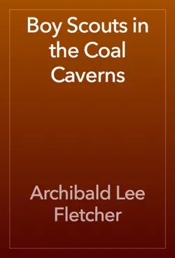 boy scouts in the coal caverns book cover image