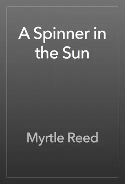 a spinner in the sun book cover image