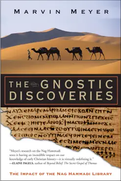 the gnostic discoveries book cover image
