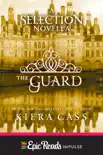 The Guard synopsis, comments