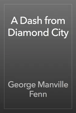a dash from diamond city book cover image