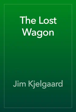 the lost wagon book cover image
