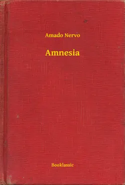 amnesia book cover image