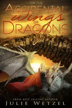 on the accidental wings of dragons book cover image
