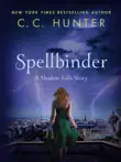 Spellbinder synopsis, comments
