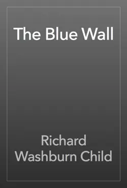 the blue wall book cover image