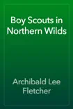 Boy Scouts in Northern Wilds book summary, reviews and download