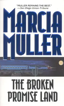 the broken promise land book cover image