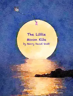 the little moon kite book cover image
