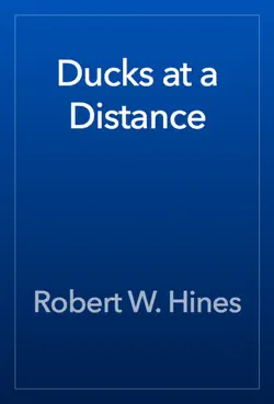 ducks at a distance book cover image